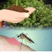 Mosquito Repelling Creeping Lemon Thyme- Live Plant - FANTASTIC! - 3" Pot   